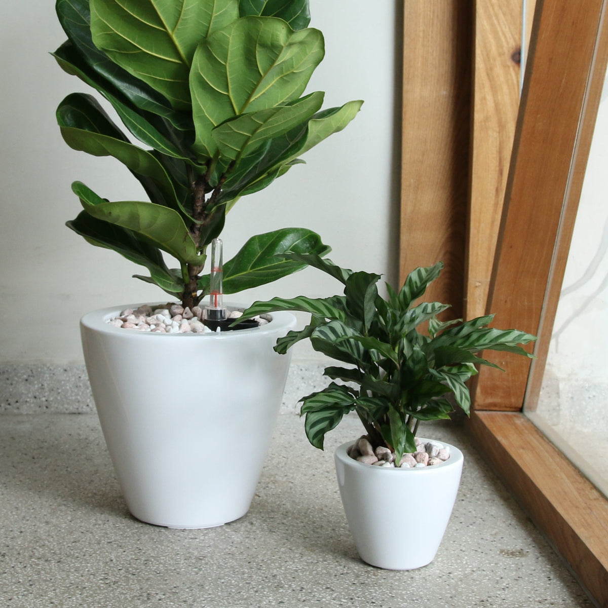 Smart Self-Watering Planter Pots