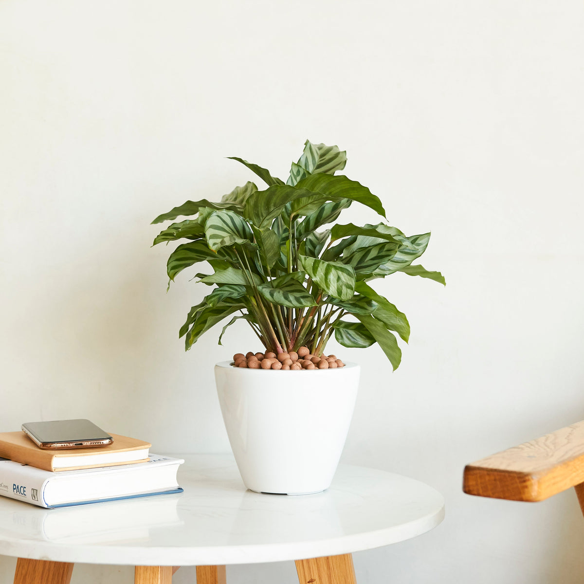 Smart Self-Watering Planter Pots