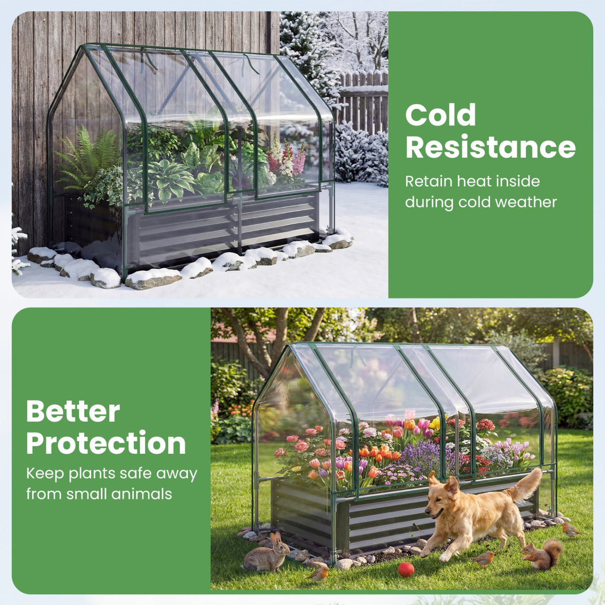 Galvanized Raised Garden Bed with Greenhouse Cover