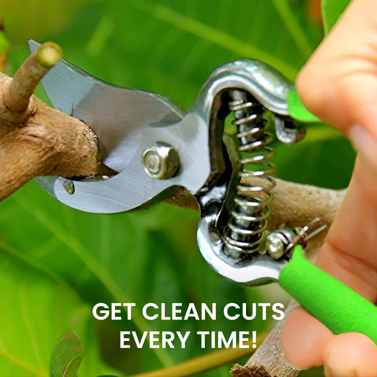 Classic Green Bypass Pruning Shears