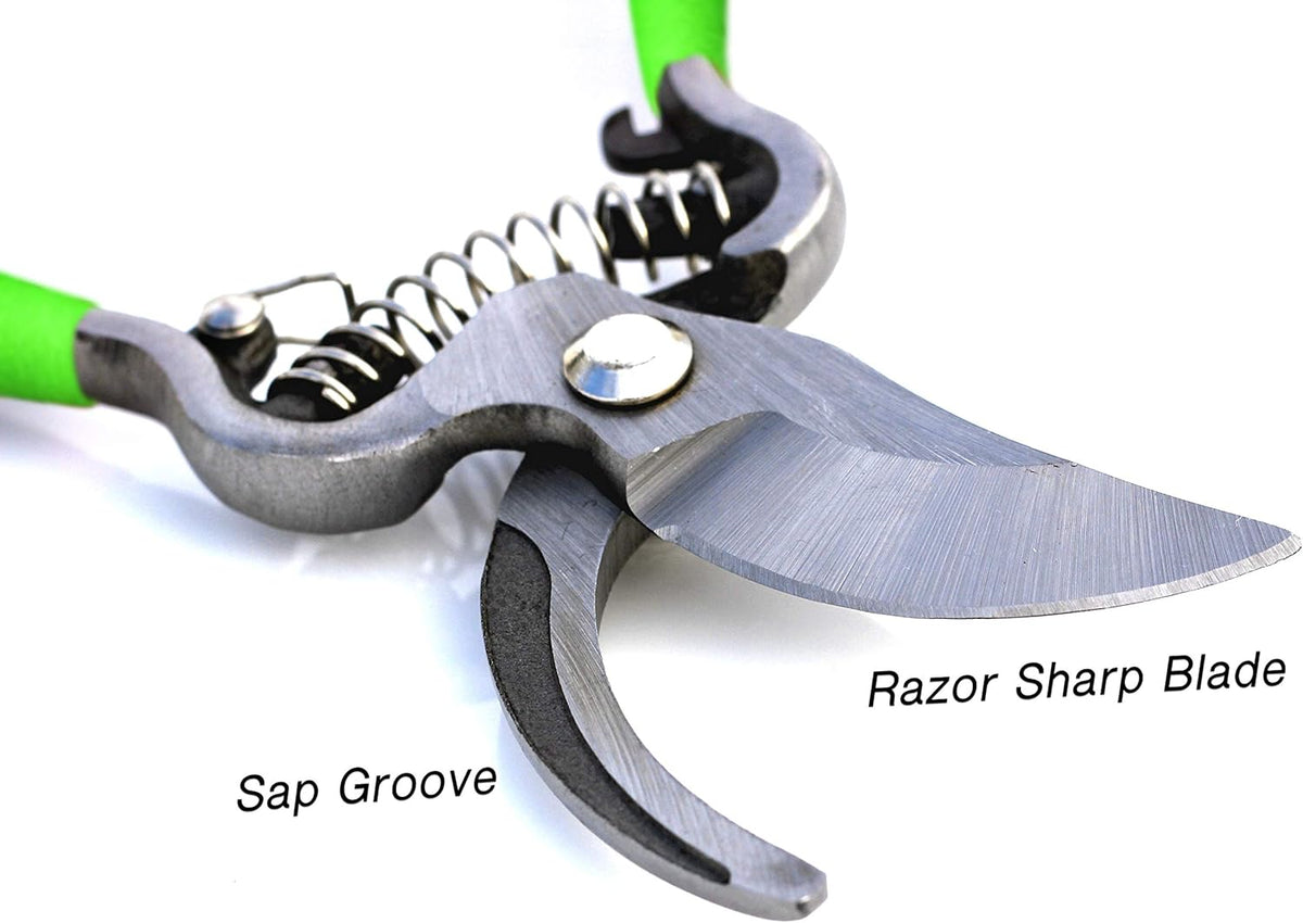 Classic Green Bypass Pruning Shears