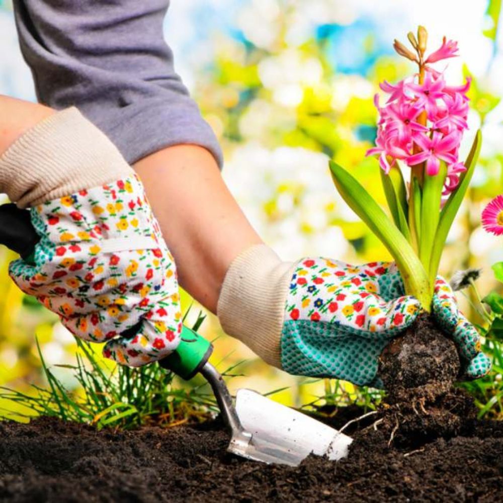 A close-up of a person wearing floral gardening gloves while planting a pink hyacinth flower in dark soil with a small hand trowel.
