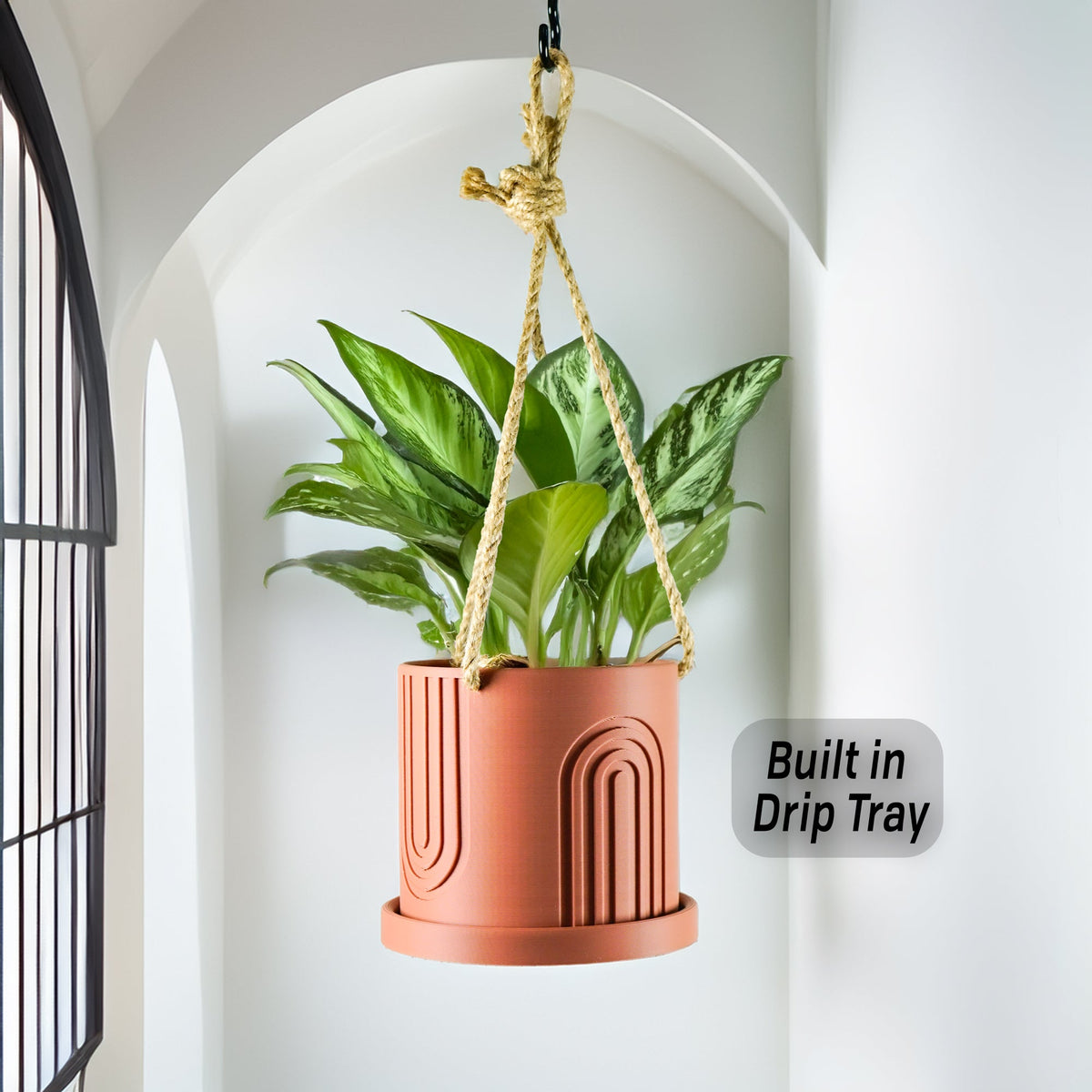 3D Printed Indoor Hanging Planter