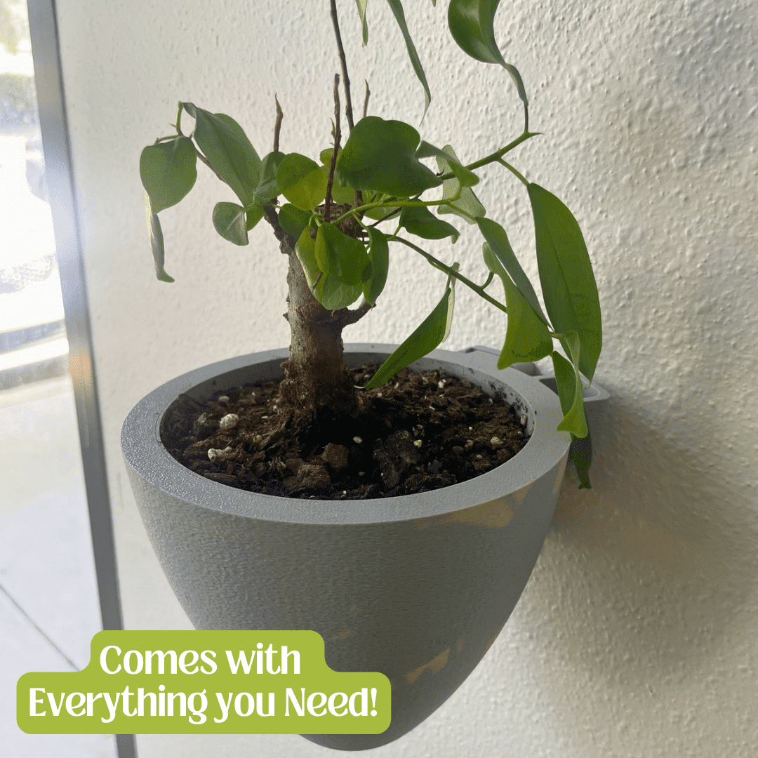 Self-Watering Wall Planters