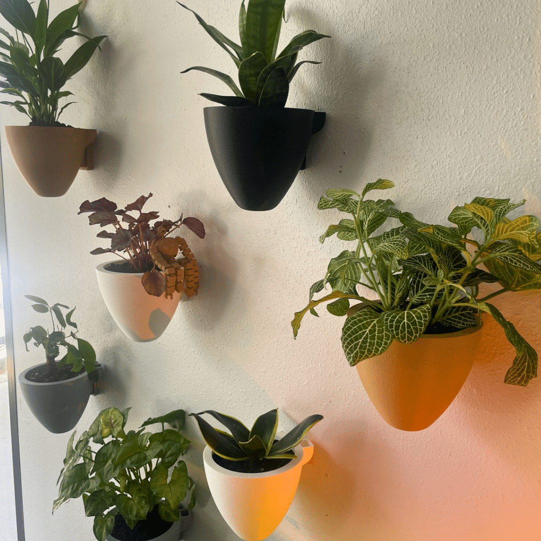 Self-Watering Wall Planters