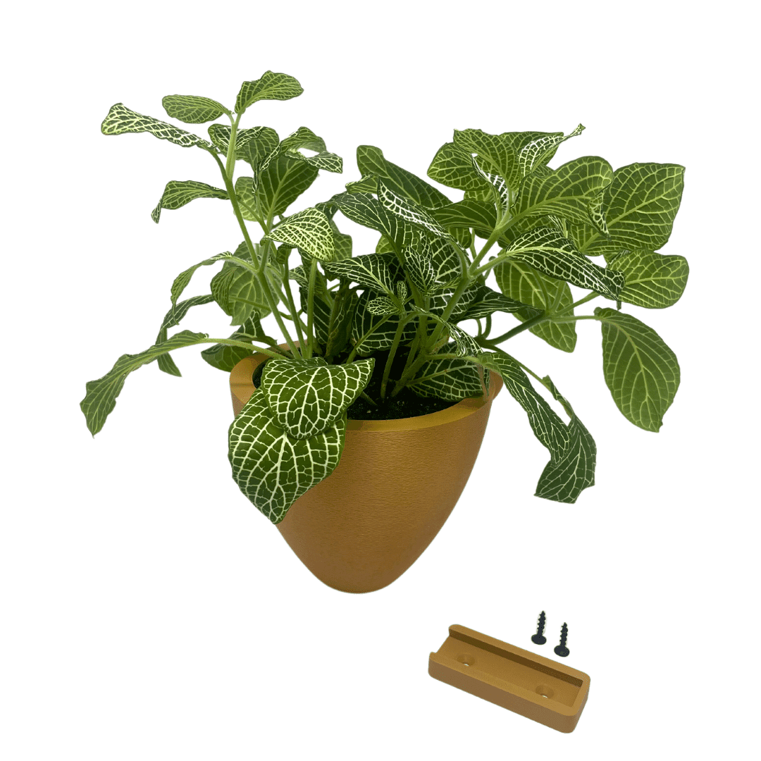 Self-Watering Wall Planters