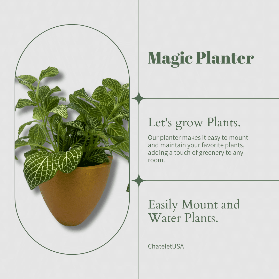 Self-Watering Wall Planters
