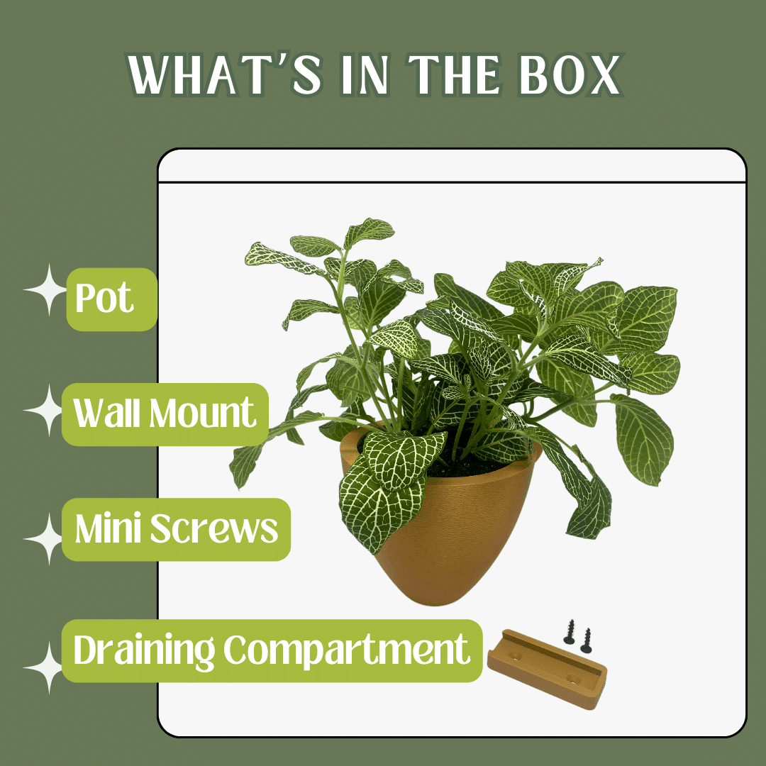 Self-Watering Wall Planters