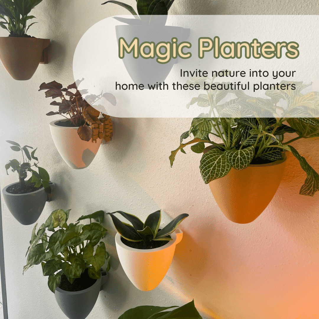 Self-Watering Wall Planters