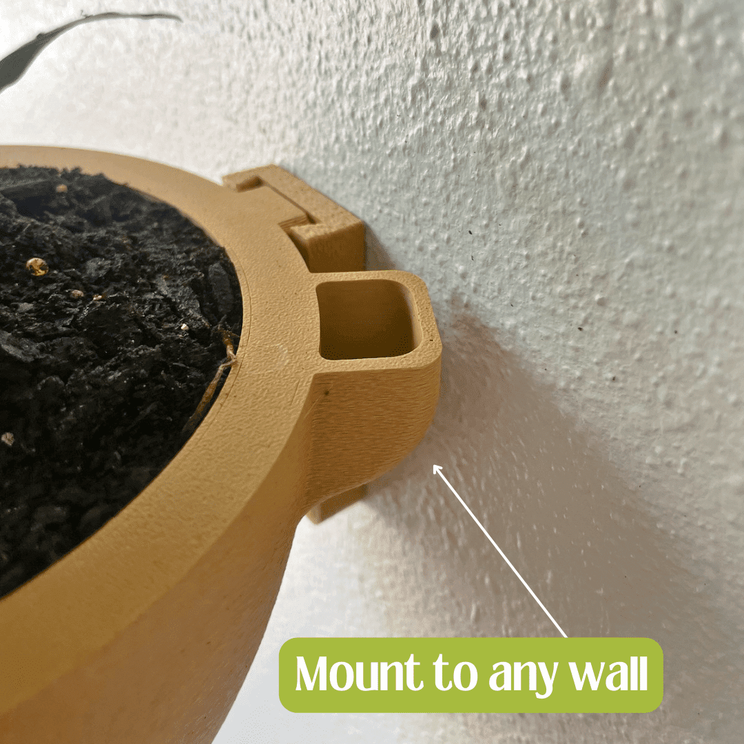 Self-Watering Wall Planters