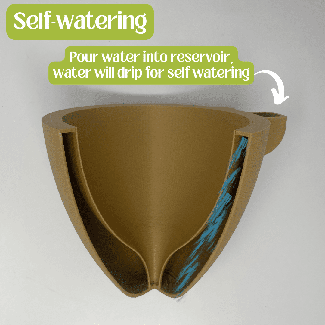 Self-Watering Wall Planters