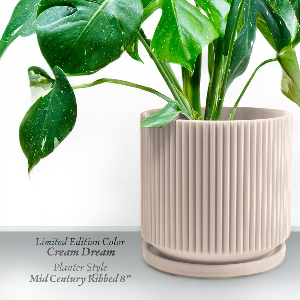 Mid-Century Ribbed Plant Pot
