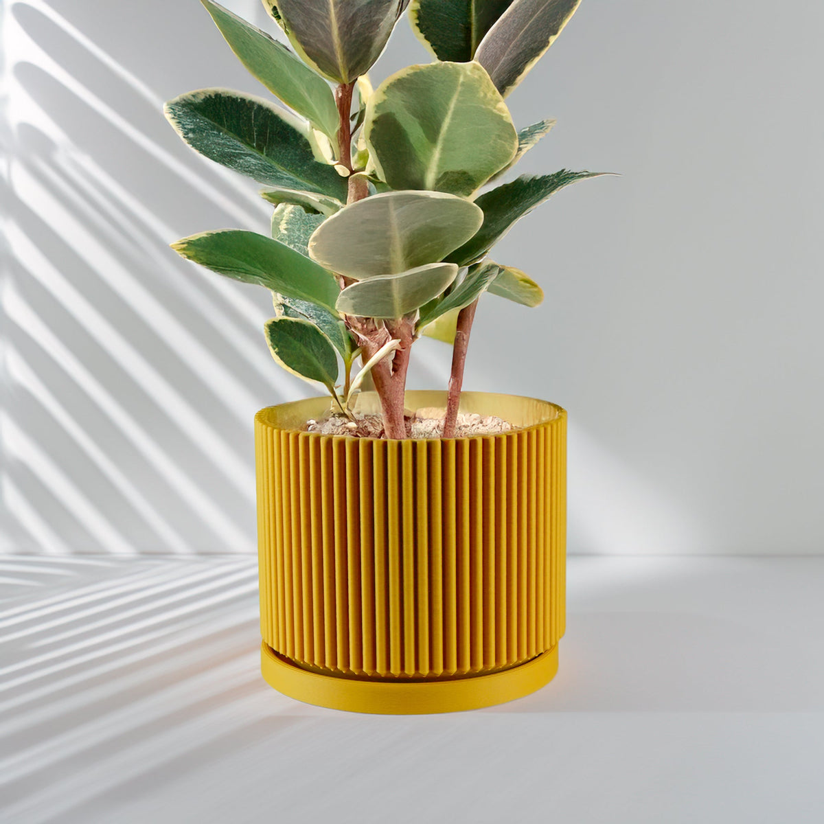 Mid-Century Ribbed Plant Pot
