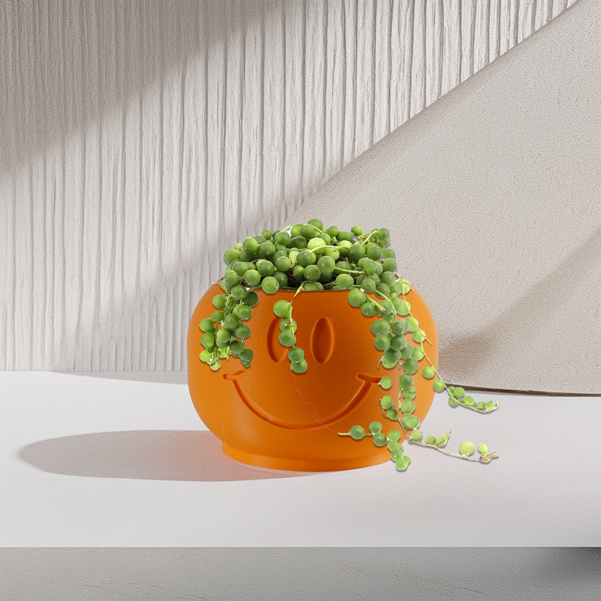 Happy Sprout Smiley Face Plant Pot