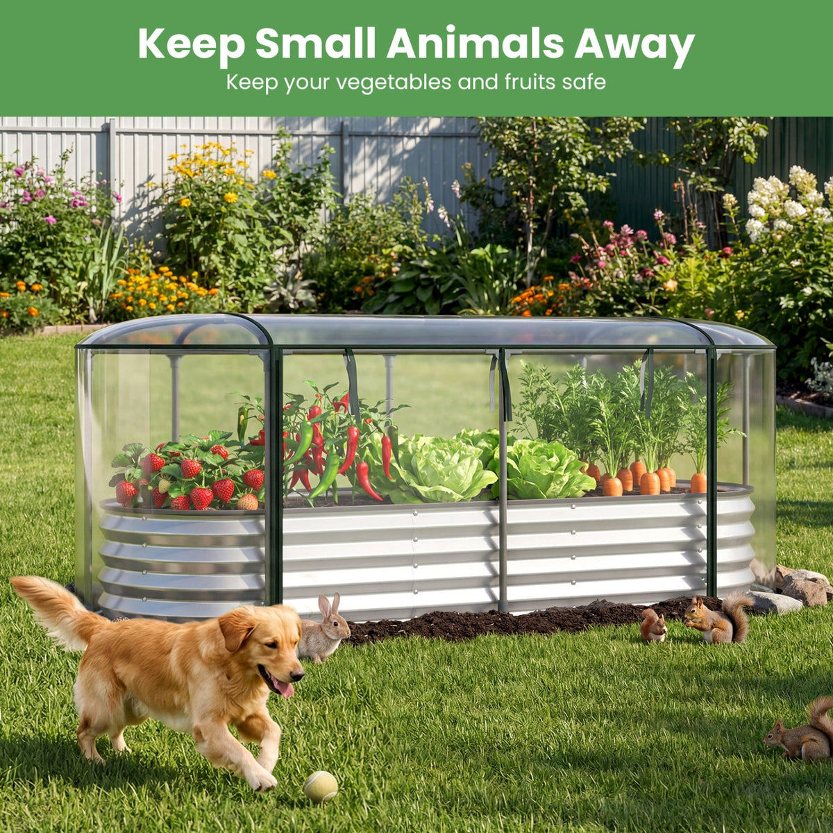 Color Steel Raised Garden Bed with Greenhouse