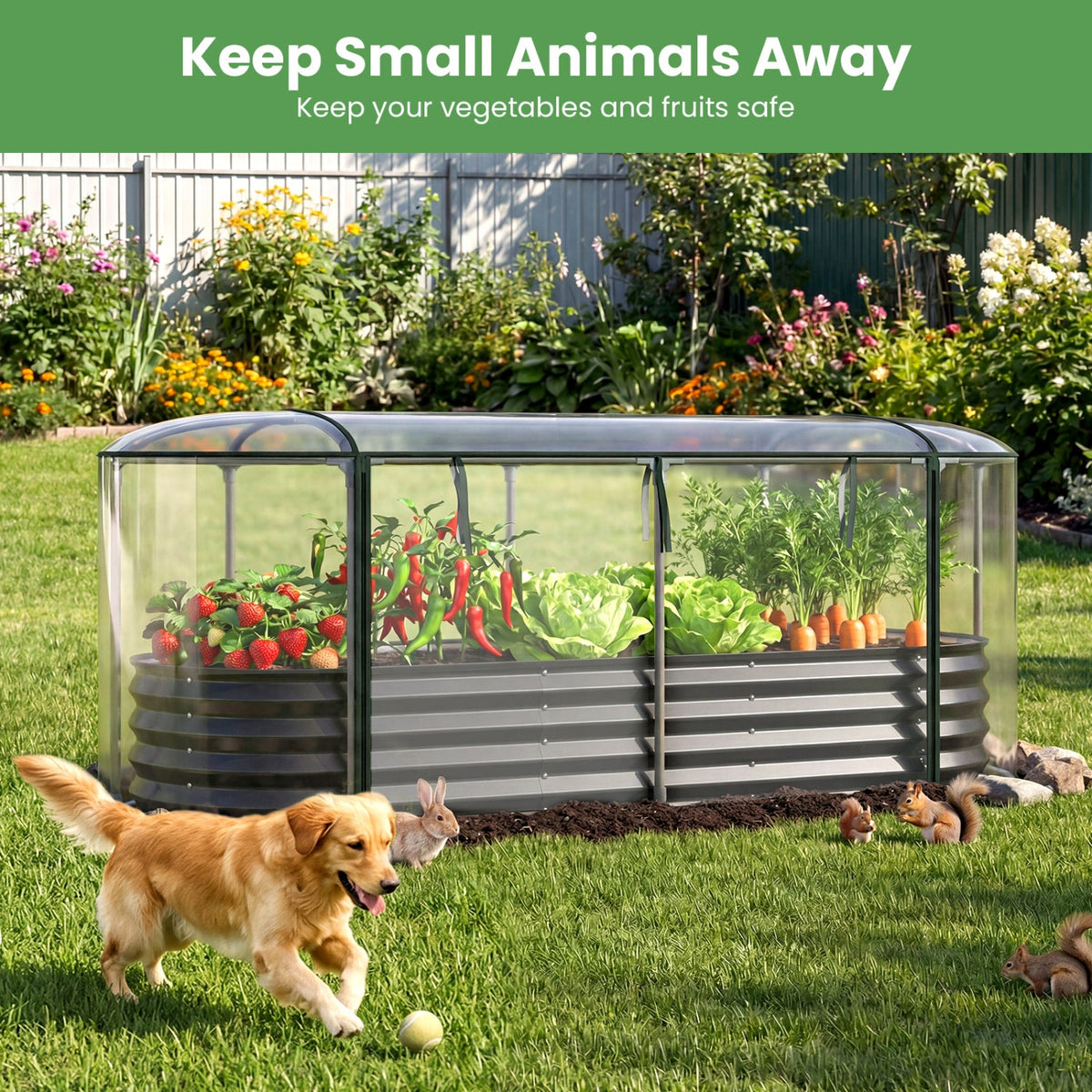 Color Steel Raised Garden Bed with Greenhouse
