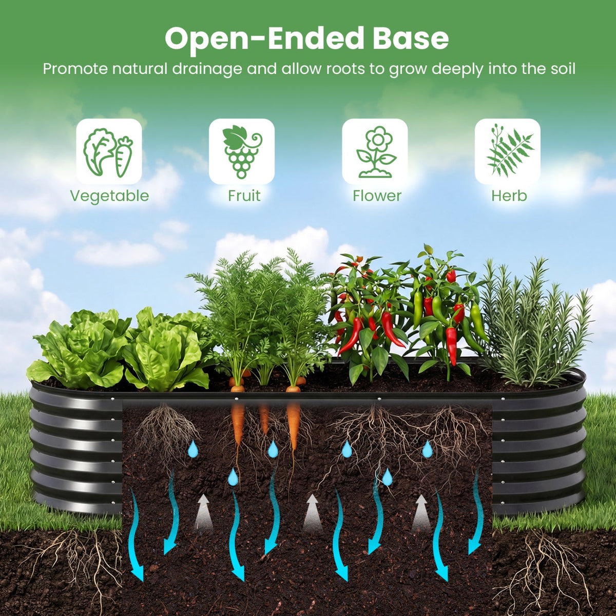 Color Steel Raised Garden Bed with Greenhouse