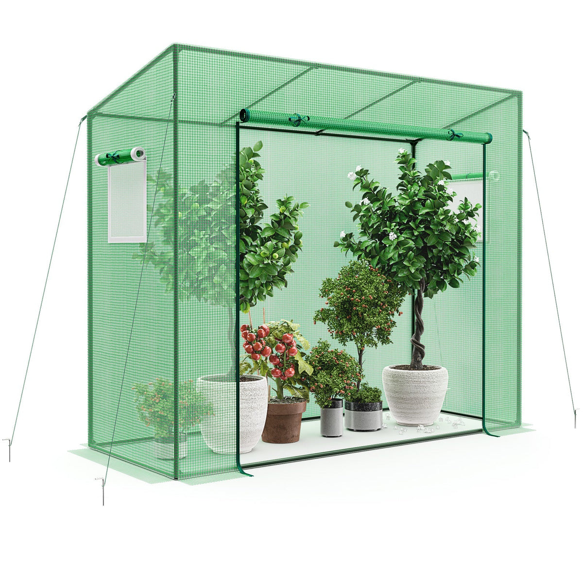 Portable Walk-In Greenhouse with PE Cover