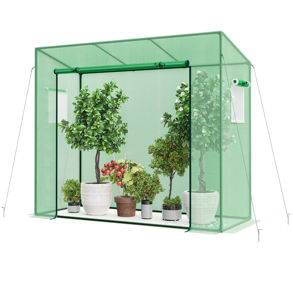 Portable Walk-In Greenhouse with PE Cover