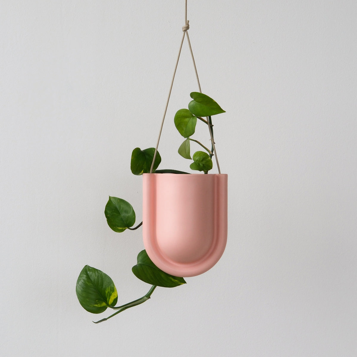 Portico Decorative Plant Planter