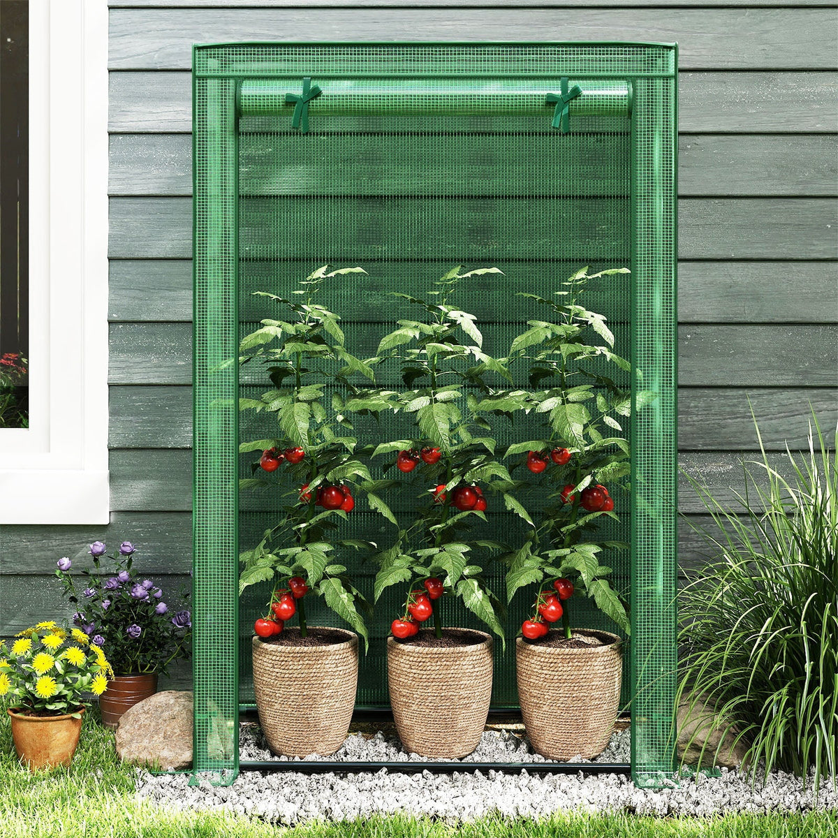 Portable Mini Greenhouse with Roll-Up Door
