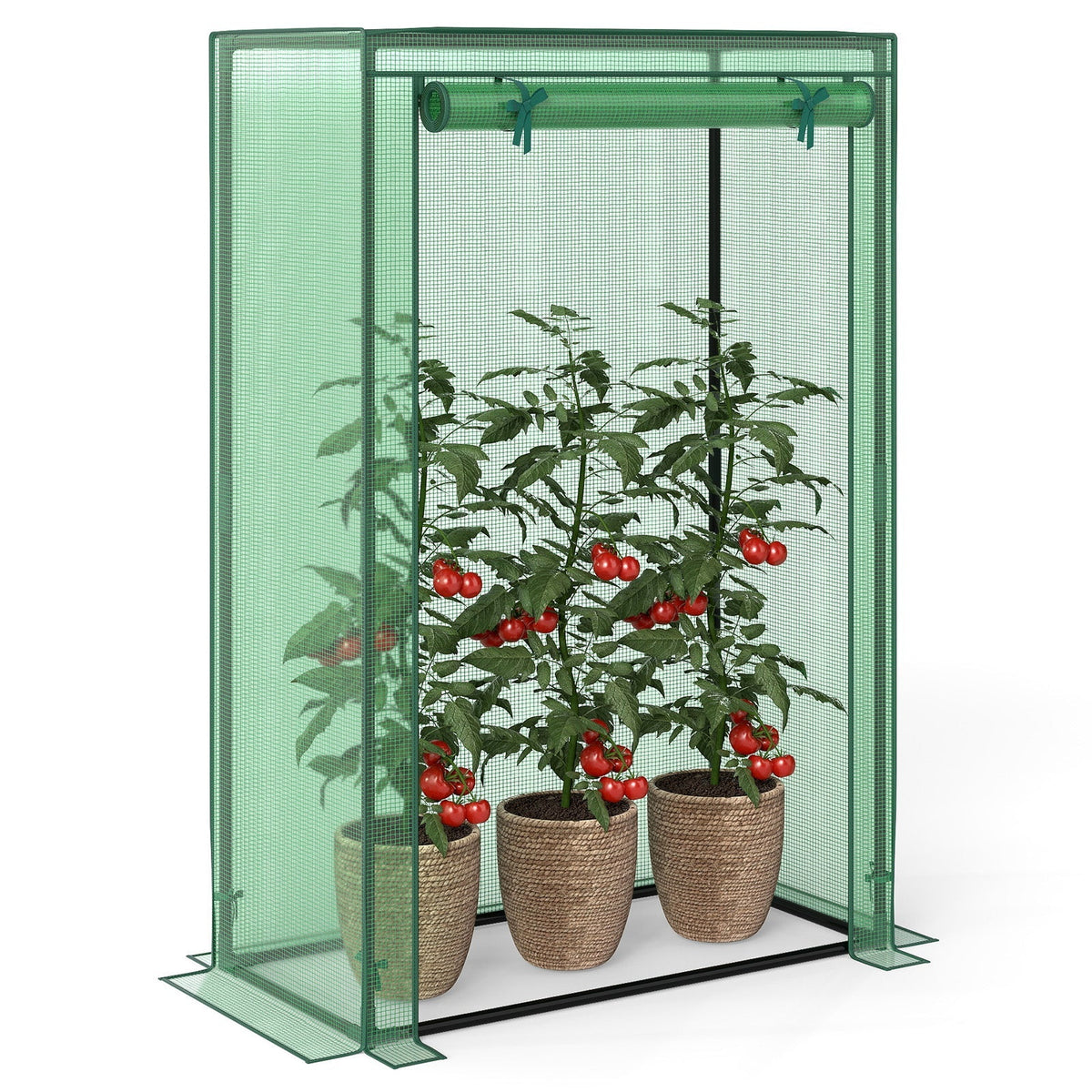 Portable Mini Greenhouse with Roll-Up Door
