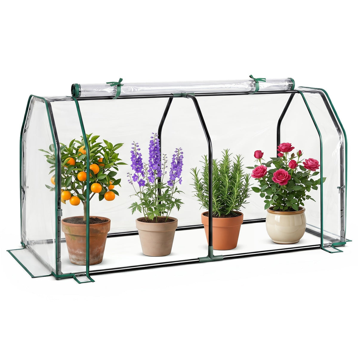 Portable Mini Greenhouse with PE Cover