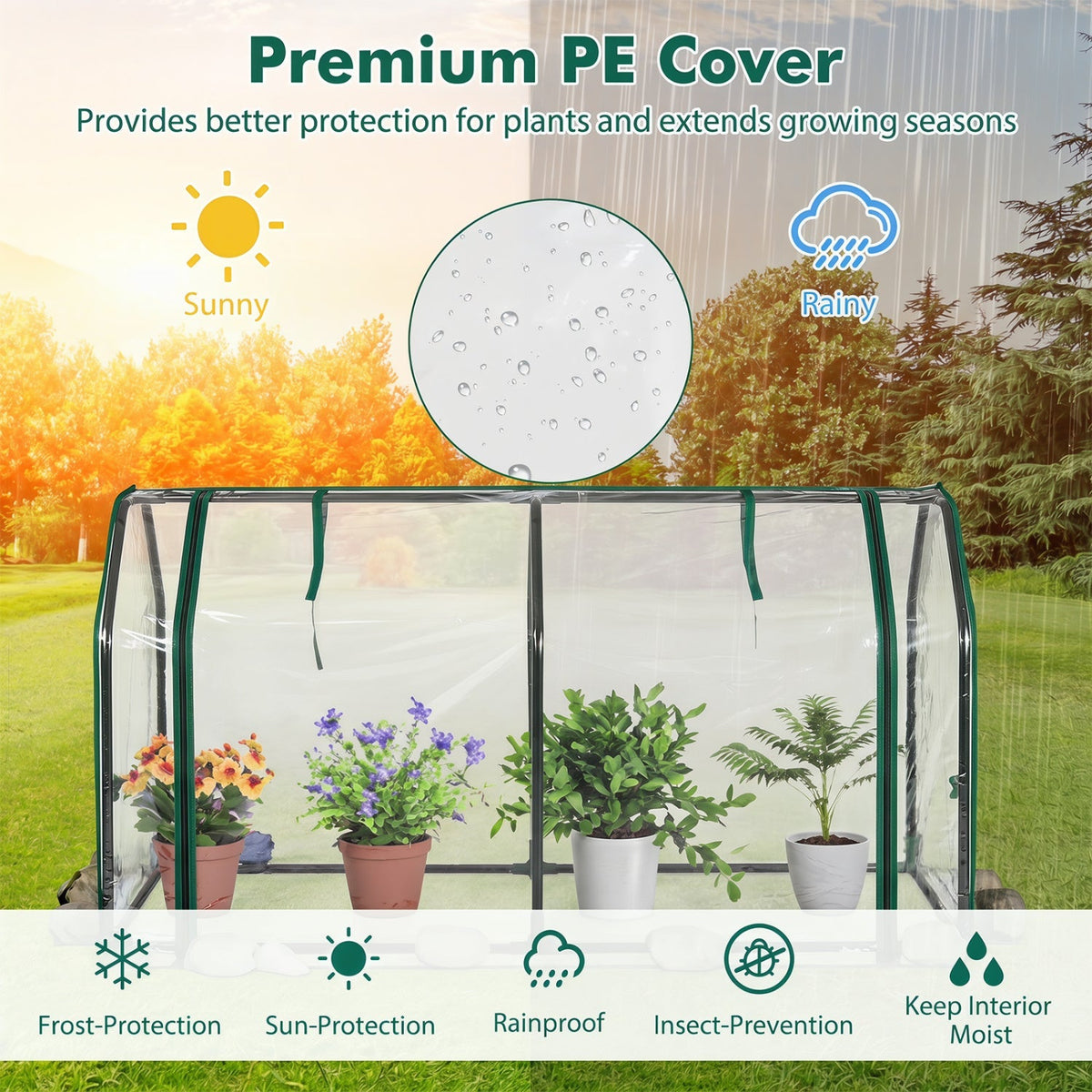 Portable Mini Greenhouse with PE Cover