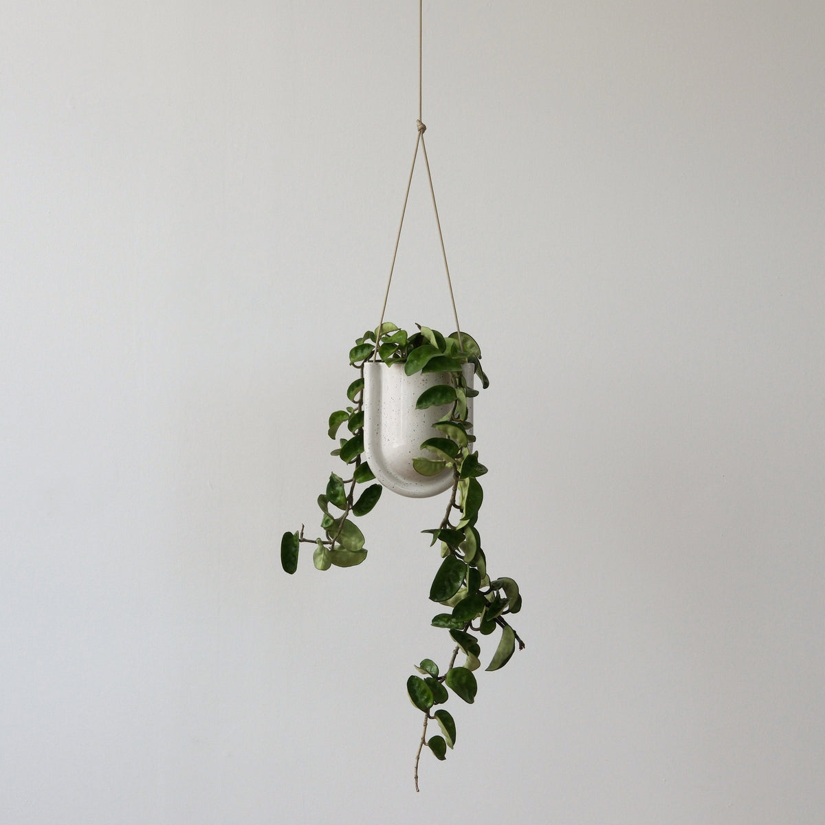 Portico Decorative Plant Planter