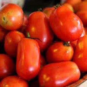 Roma Tomato Seeds