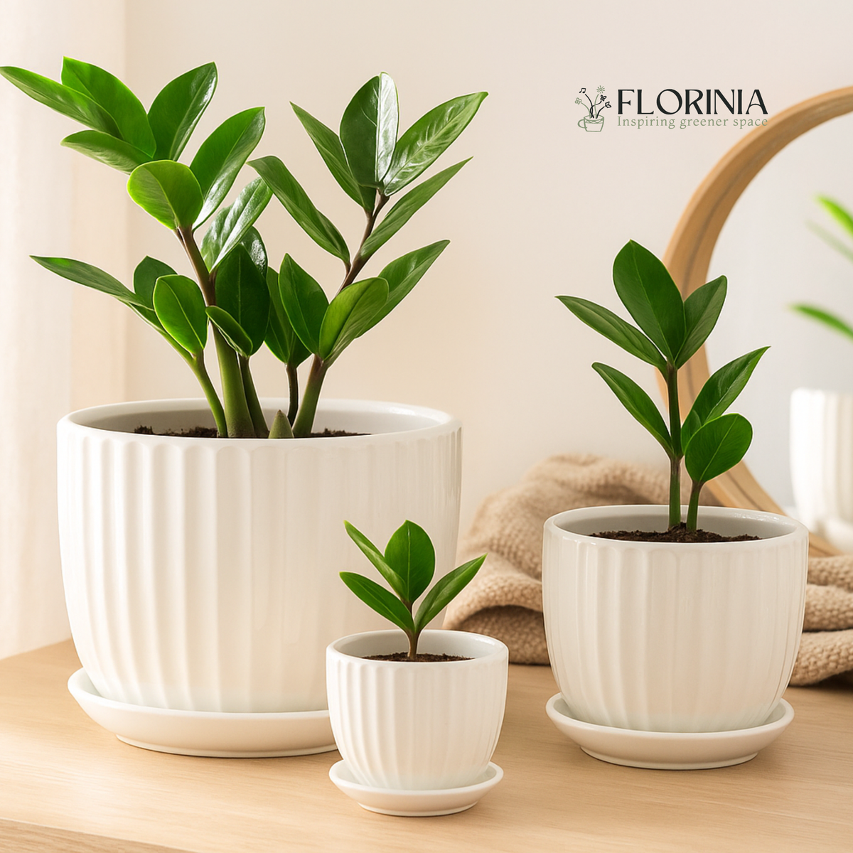 White Ceramic Fluted Planter Set
