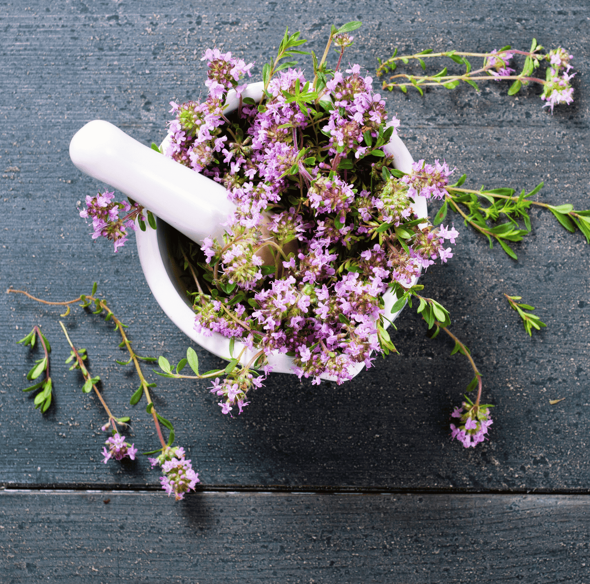 Creeping Thyme Seeds 250 Pack