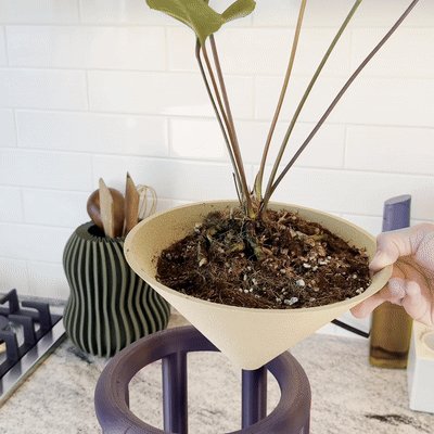 Conduit Plant Stand with Catch