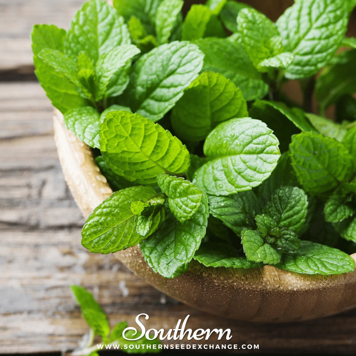 Peppermint Herb Seeds 100 Pack