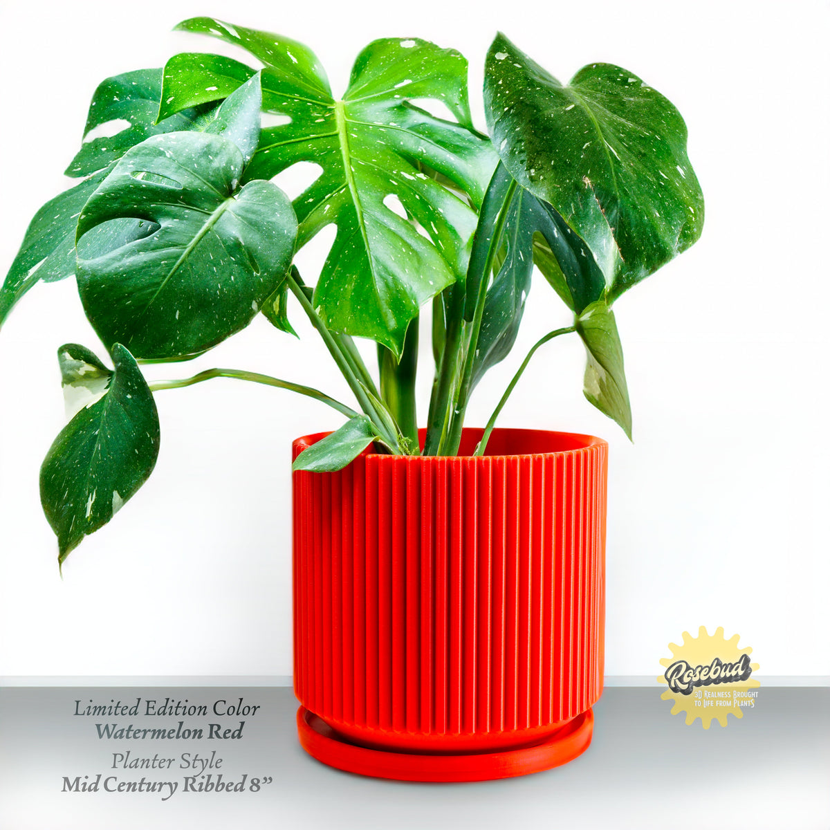 Mid-Century Ribbed Plant Pot